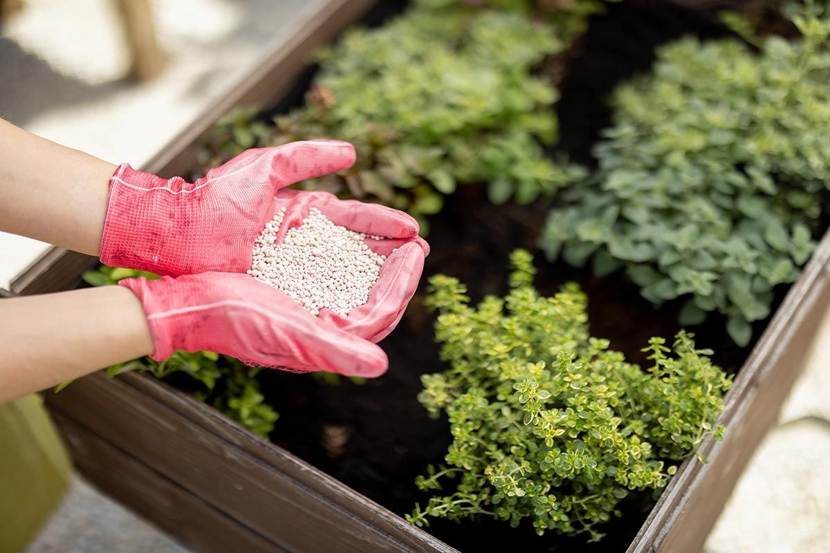 Concimazione: come nutrire correttamente il terreno